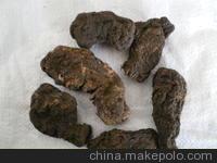 中草药 生地黄 鲜地黄