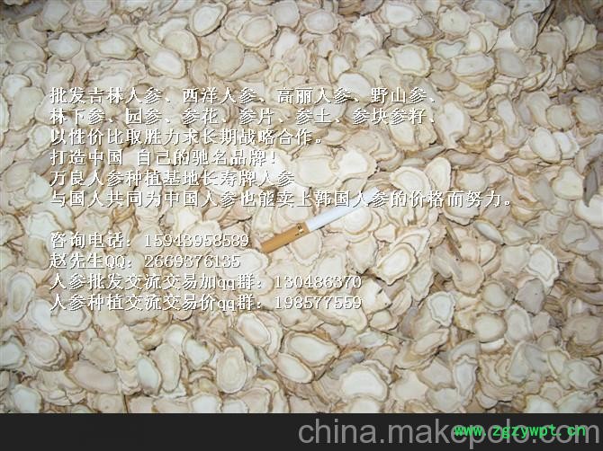 广东东北野人参批发_广东礼盒人参价格 广东长寿人参