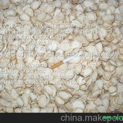 广东东北野人参批发_广东礼盒人参价格 广东长寿人参