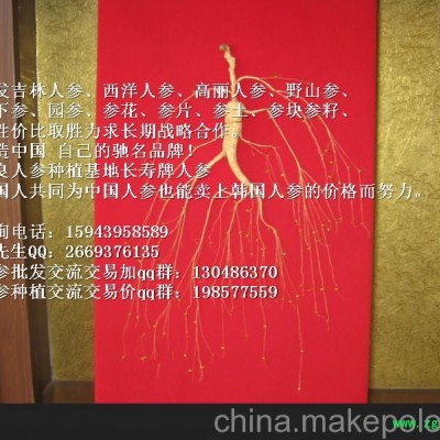 广东人参供应批发_广东人参货源价格 广东长寿人参