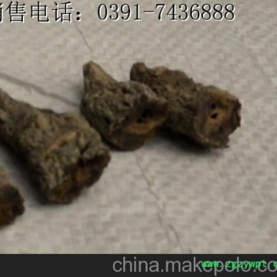 鲜地黄 焦作四大怀药 地黄 生地片 四大怀药