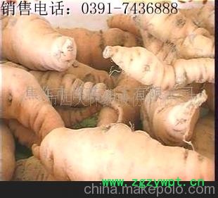 焦作特产四大怀药、怀地黄、生地黄、熟地黄、生地、熟地、地黄