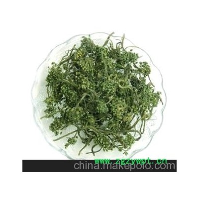 人参花，量大优惠