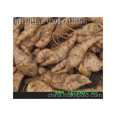 焦作特产四大怀药、怀地黄、生地黄、熟地黄、怀生地、熟地、地黄