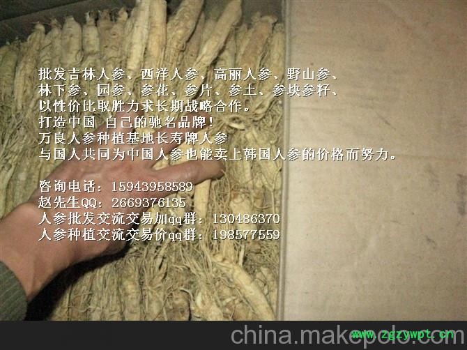 广东出口人参批发_广东党参代替人参价格 广东长寿人参