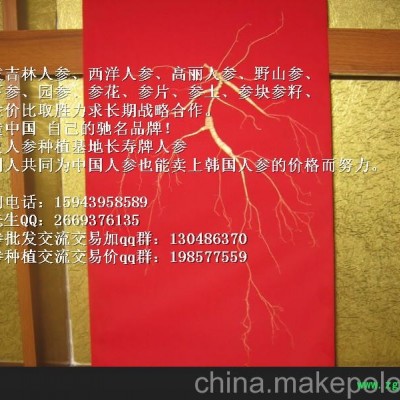 广东党参人参批发_广东东北人参价格 广东长寿人参