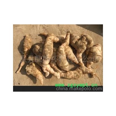 批发怀地黄 怀地黄供应