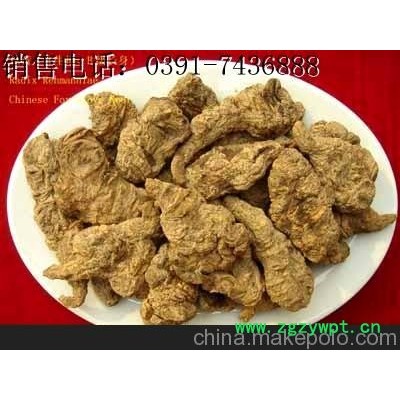 厂家热销鲜地黄 焦作四大怀药 地黄 生地片 四大怀药