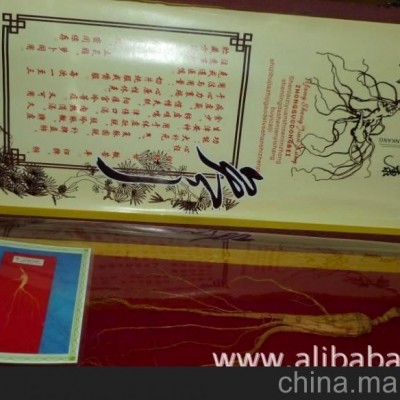 东北特产 长白山移植山参 人参送礼 长白山人参批发