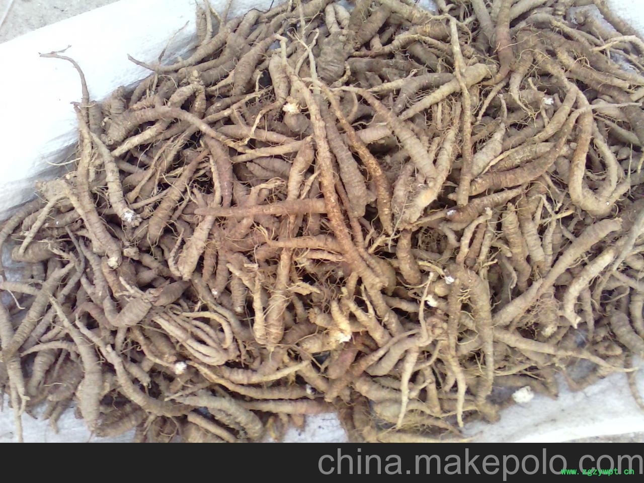 供应桔梗，蕨菜，鱿鱼干，沙参图2