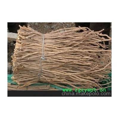 供应黄芪 厂家销售