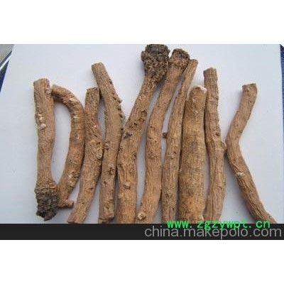 供应甘肃张掖 板蓝根