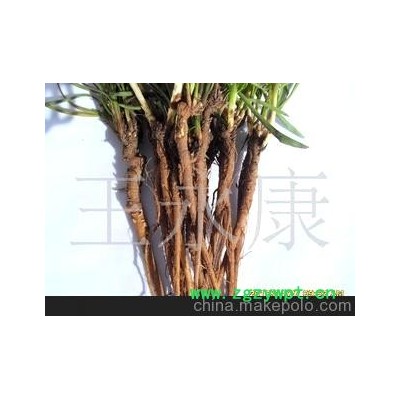 批发，零销甘肃定西优质中药材柴胡