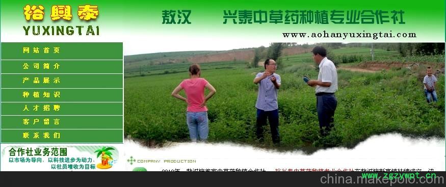 桔梗，铁芪，板蓝根，甘草