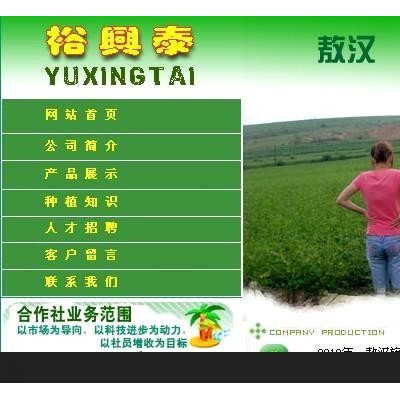 桔梗，铁芪，板蓝根，甘草