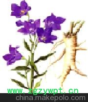 桔梗，铁芪，板蓝根，甘草图2