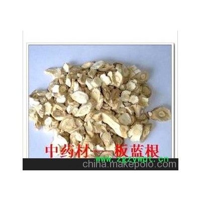 批发零售中药材 板蓝根具有温毒发斑；高热头痛；大头瘟疫。