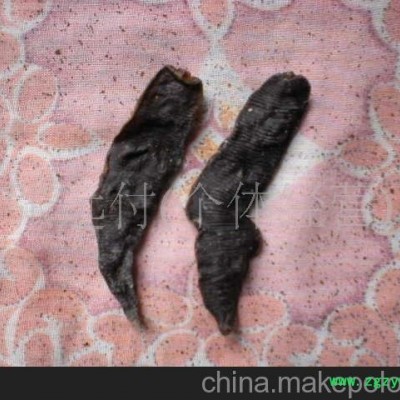 蚂蝗 水蛭（矾货） 动物中药材