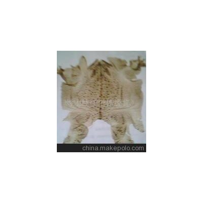 天然蟾衣(图)-天然蟾衣