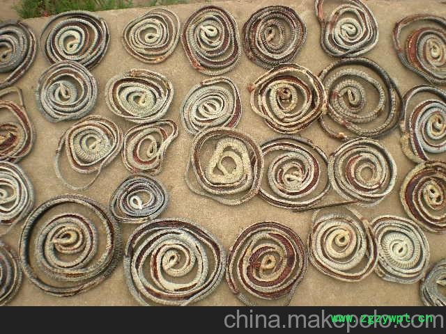 乌梢蛇 中药材乌梢蛇 乌梢蛇干