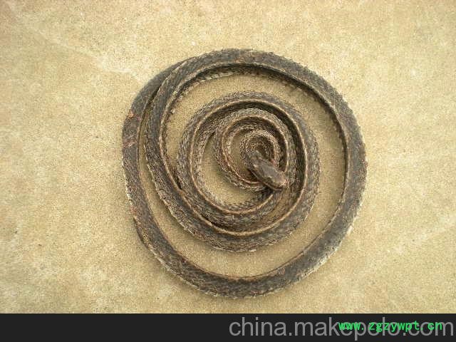 乌梢蛇 中药材乌梢蛇 乌梢蛇干图2