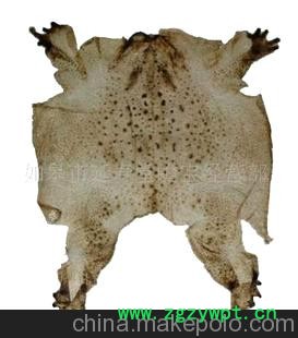 蟾衣胶囊蛤蟆油蟾胆露口服液