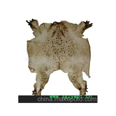 蟾衣胶囊蛤蟆油蟾胆露口服液