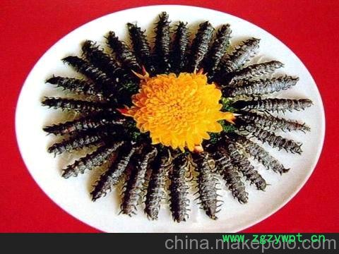 蜈蚣明日之星蜈蚣养殖场郑重承诺图4