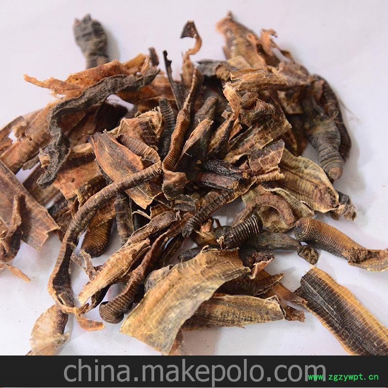 广地龙 （小开） 切段 精选 优质 大货供应 上广地龙行图3