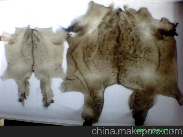 蟾衣，河南蟾衣销售图4