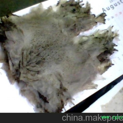 蟾衣，河南蟾衣销售