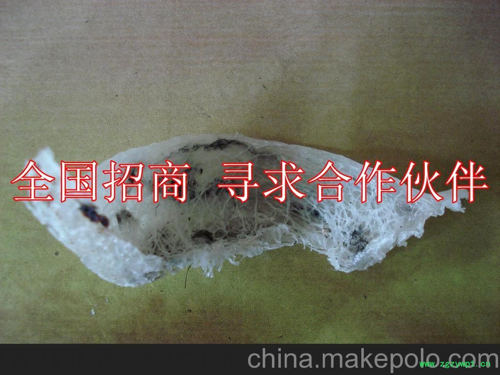 海口燕窝批发/招商加盟连锁店专营店专卖店进口燕窝一件待发礼盒图2