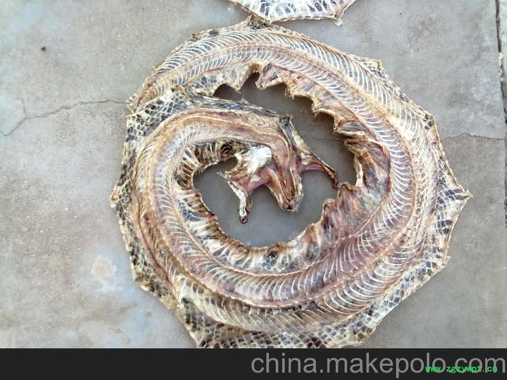 特级正品蕲蛇干 五步蛇干图4