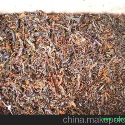 批量供应优质晒干蜈蚣皮