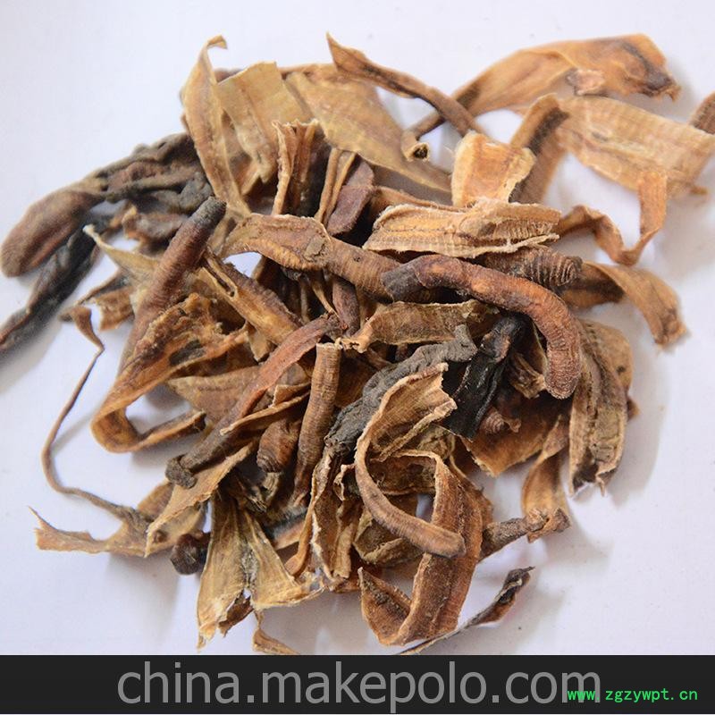 上海地龙 （小开） 切段 精选 优质 大货供应 上广地龙行 修改图2