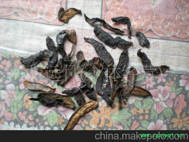 供应水蛭 蚂蝗 动物中药材图2