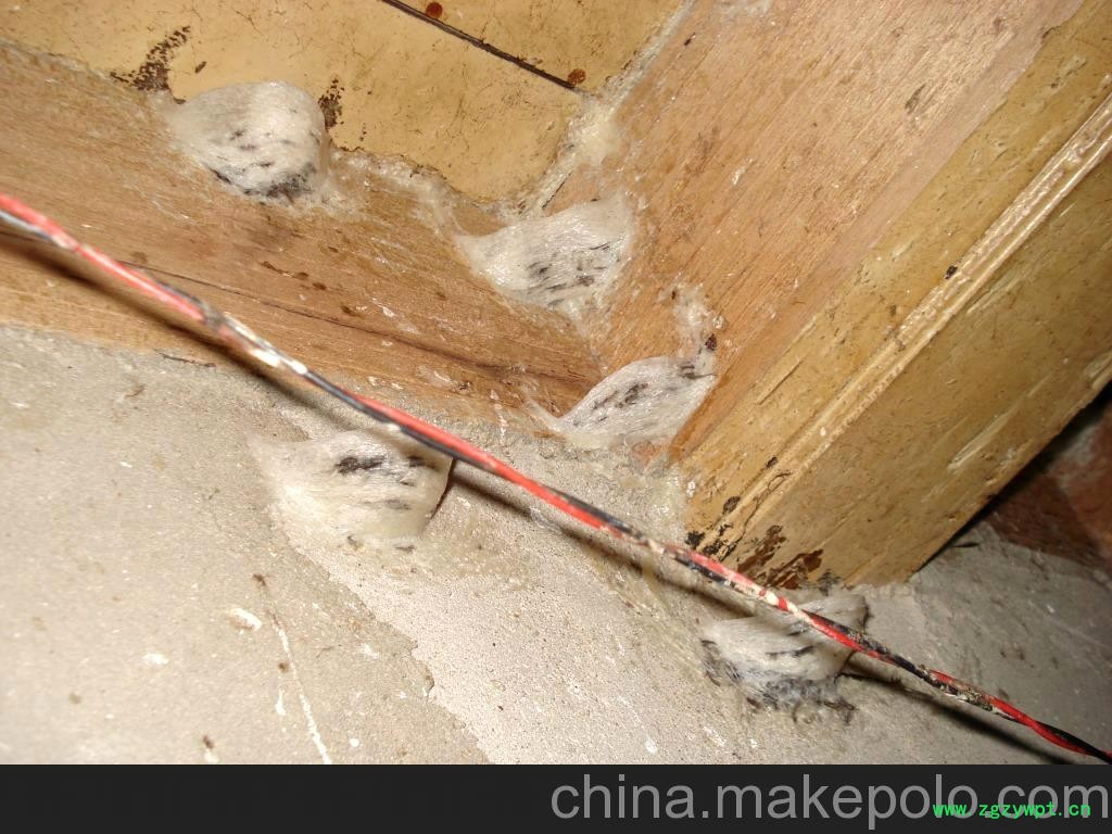 香港毛燕窝批发/加盟连锁专卖店 进口燕窝 一件待发 原材料供应商图4