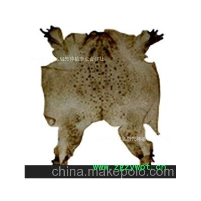 中药材批发 神奇蟾衣&mdash;&mdash;癌症克星