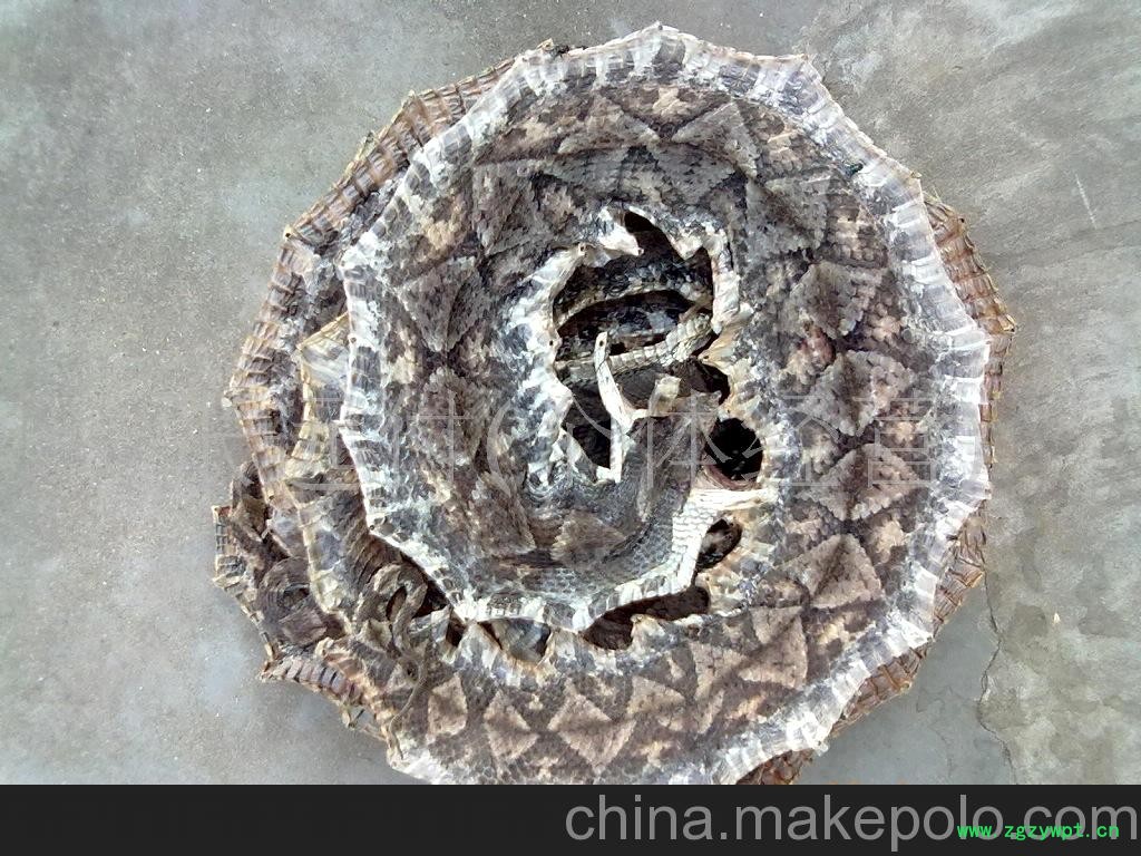 批量供应优质特级正品五步蛇干图2