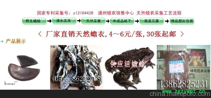 蟾衣,通州五甲镇协力蟾蜍养殖场