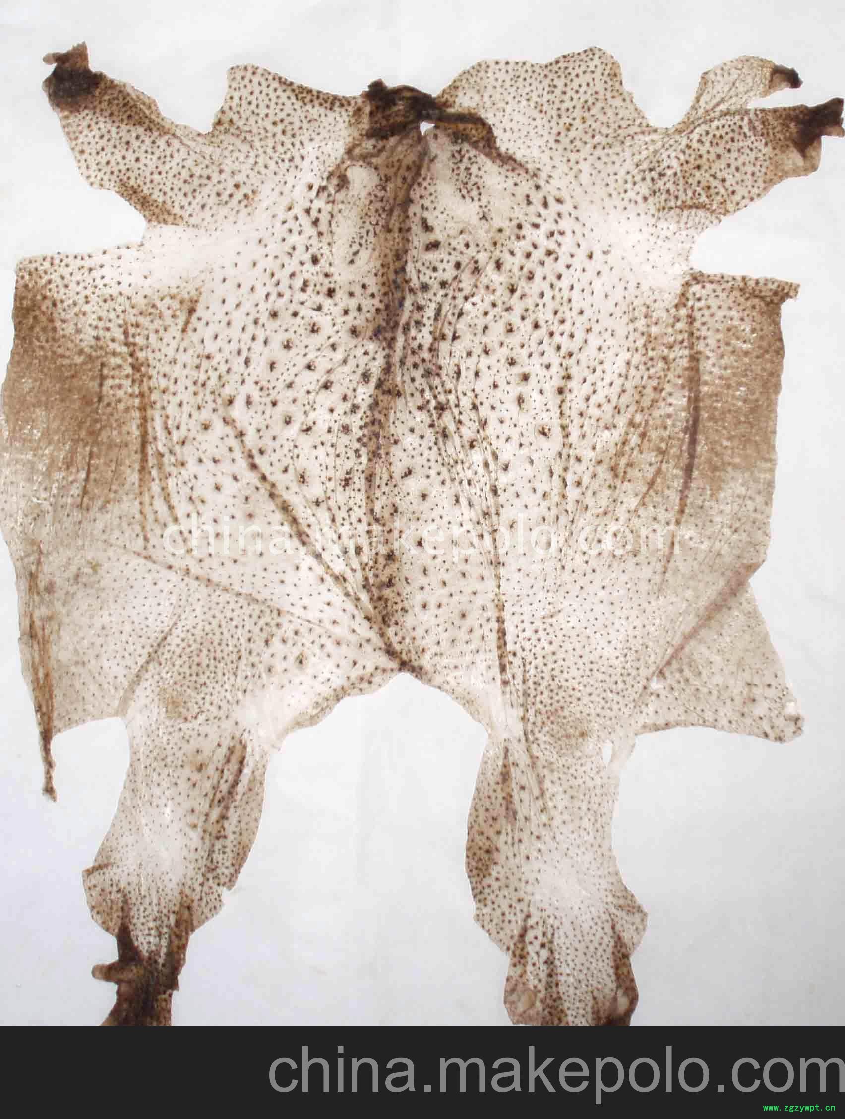 蟾衣脱皮技术图2