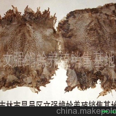大量天然蟾衣.干水蛭(图)-蟾衣