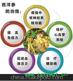 升力元胶囊--保健养身--平衡营养--吃了都说好--图3