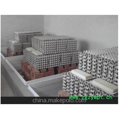 养殖场厂家直销商品蝎