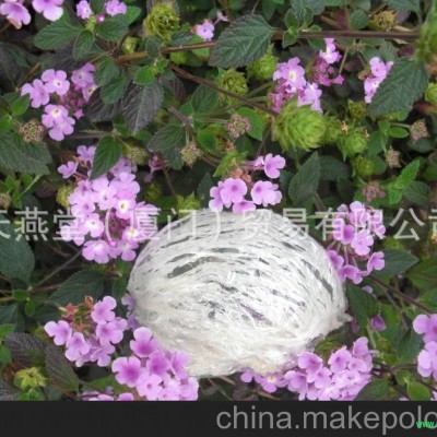 衢州燕窝批发 燕窝 正品燕窝 燕窝功效 女人燕窝