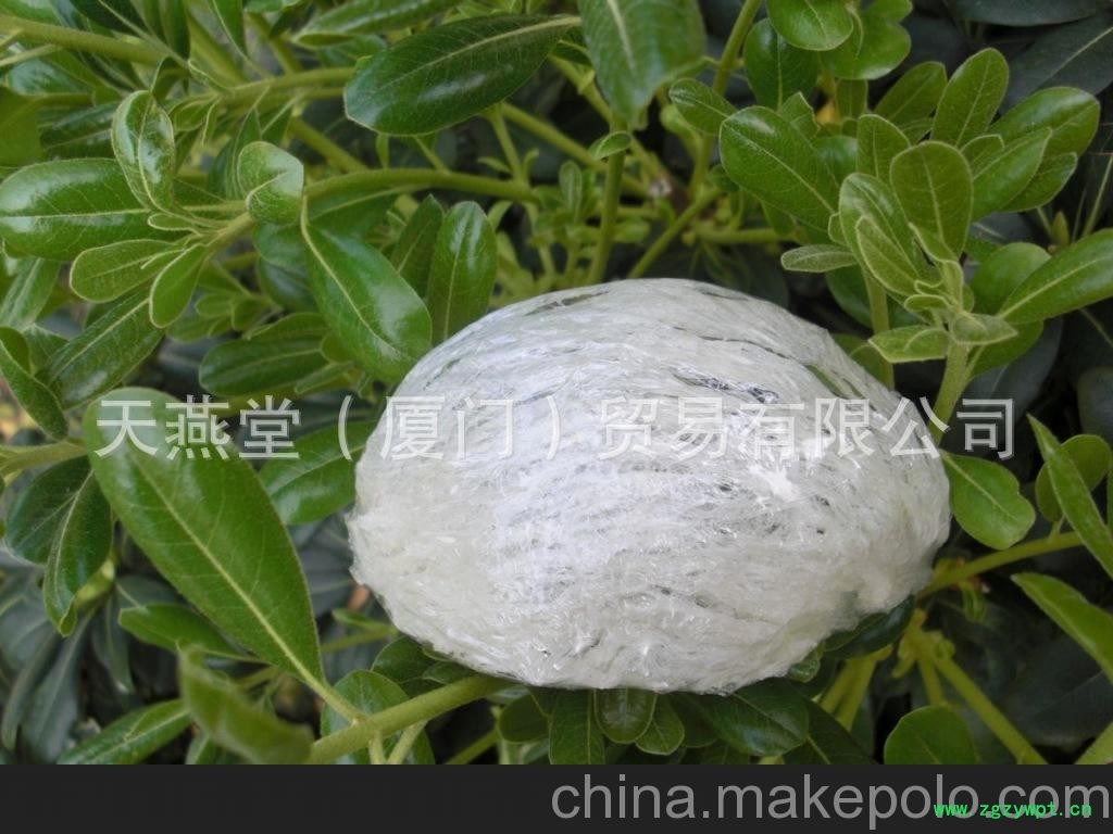 湖南燕窝批发 足干燕窝 正品燕窝批发图5