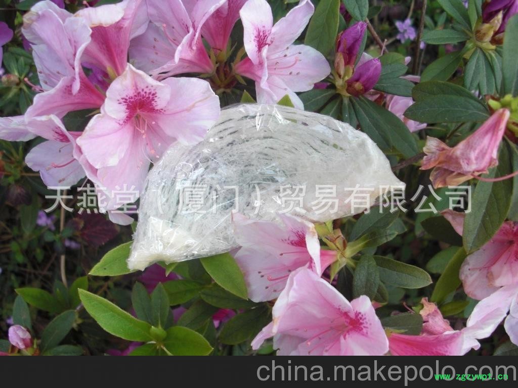 北京燕窝批发 正品燕窝批发 燕窝价格技术培训图4