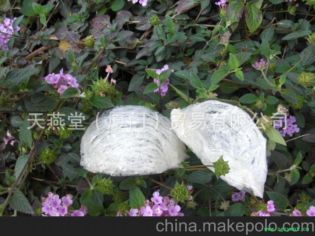 北京燕窝批发 正品燕窝批发 燕窝价格技术培训图2