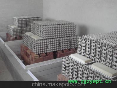 蝎子/批发药用蝎子、长期供应图3