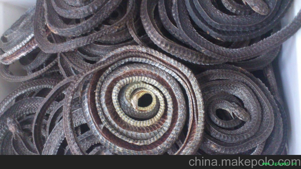 重庆乌梢蛇干图4